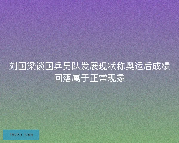 刘国梁谈国乒男队发展现状称奥运后成绩回落属于正常现象